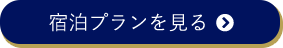 宿泊プランを見る