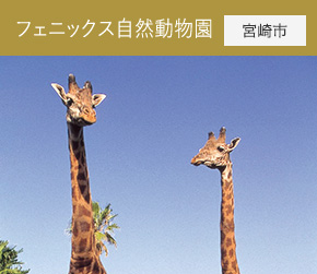 フェニックス自然動物園